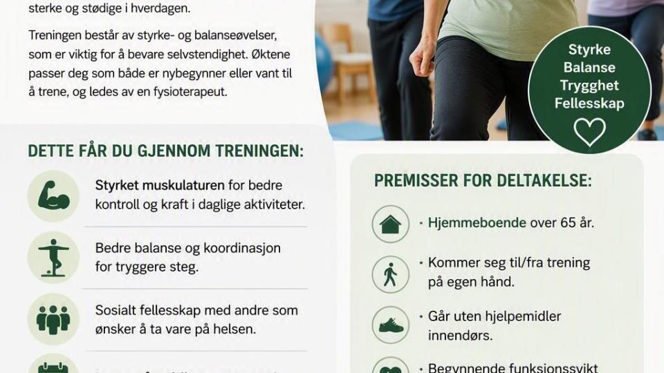 Lenke til artikkel: Sterk i steget - så du holder deg på beina