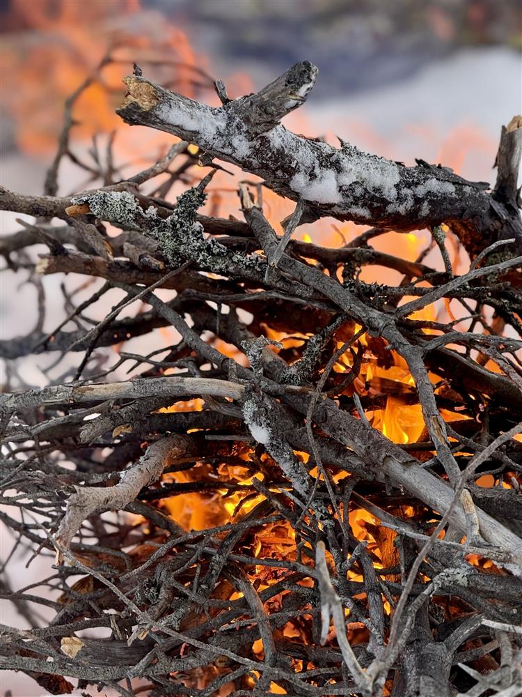 Klikk for stort bilde