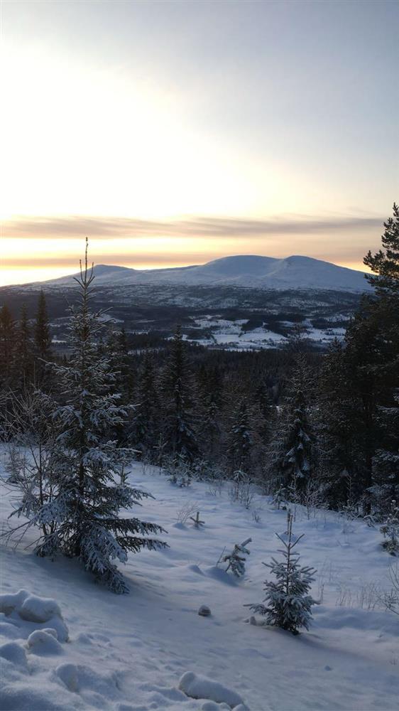 Klikk for stort bilde