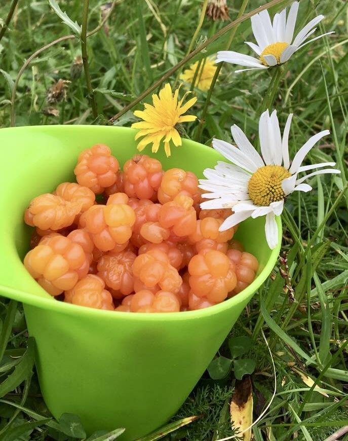 Klikk for stort bilde