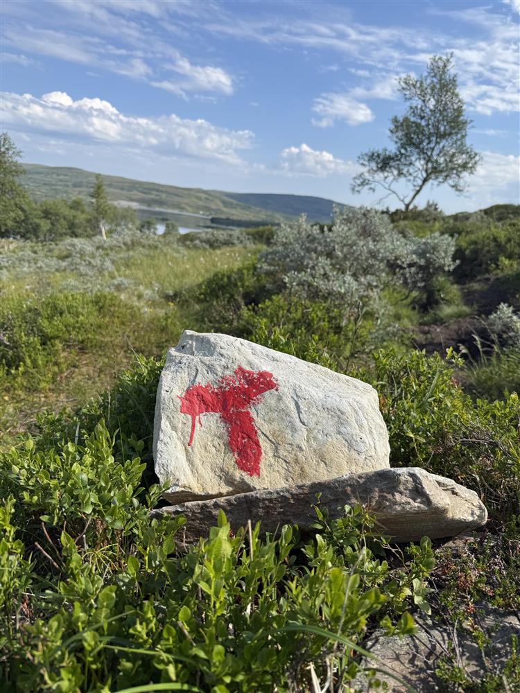 Klikk for stort bilde