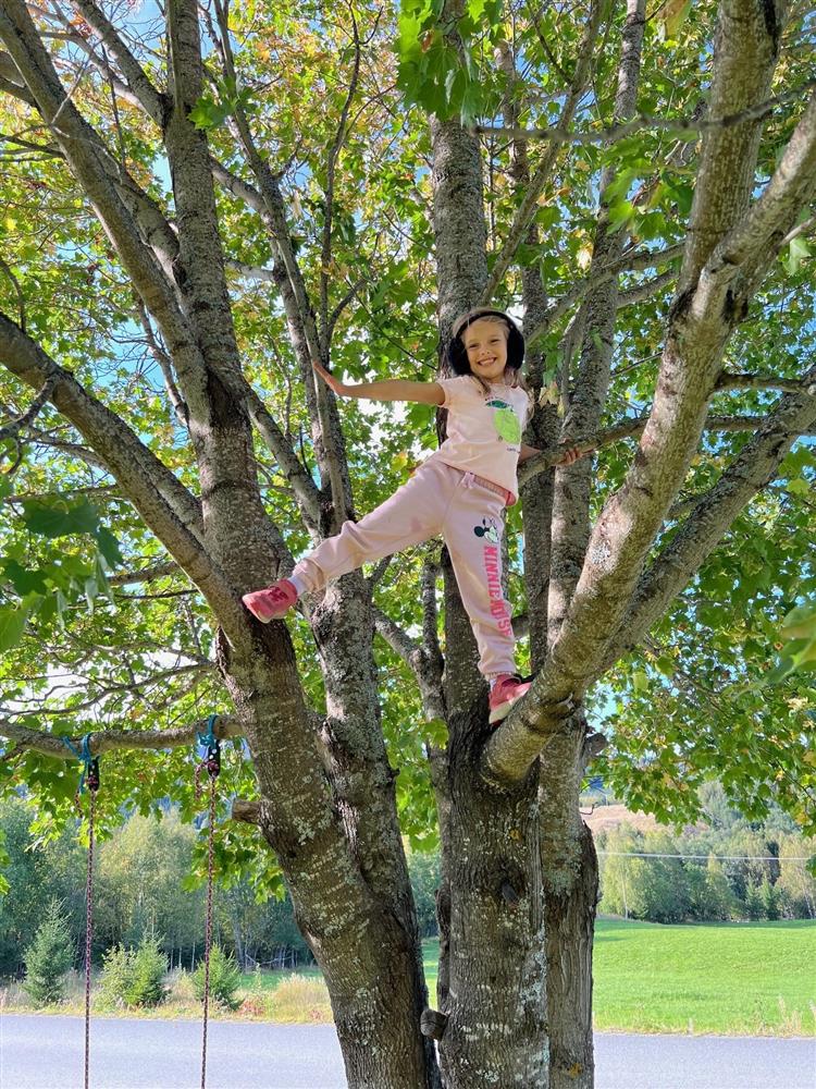 Klikk for stort bilde