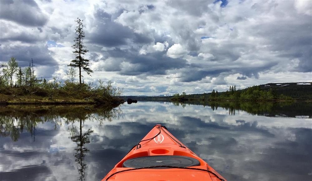 Klikk for stort bilde