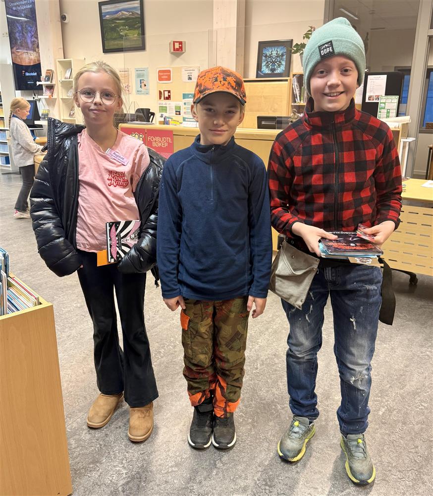 Klikk for stort bilde