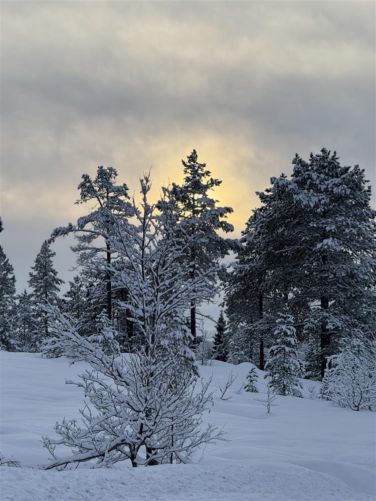 Klikk for stort bilde